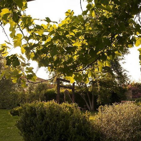 Podere Turicchio 奥尔贝泰洛 外观 照片