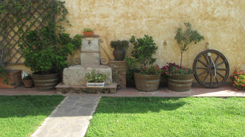 Podere Turicchio 奥尔贝泰洛 外观 照片