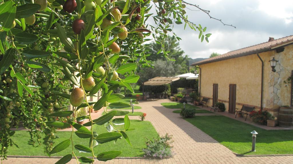 Podere Turicchio 奥尔贝泰洛 外观 照片