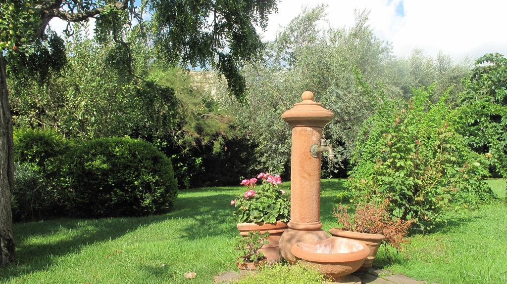 Podere Turicchio 奥尔贝泰洛 外观 照片