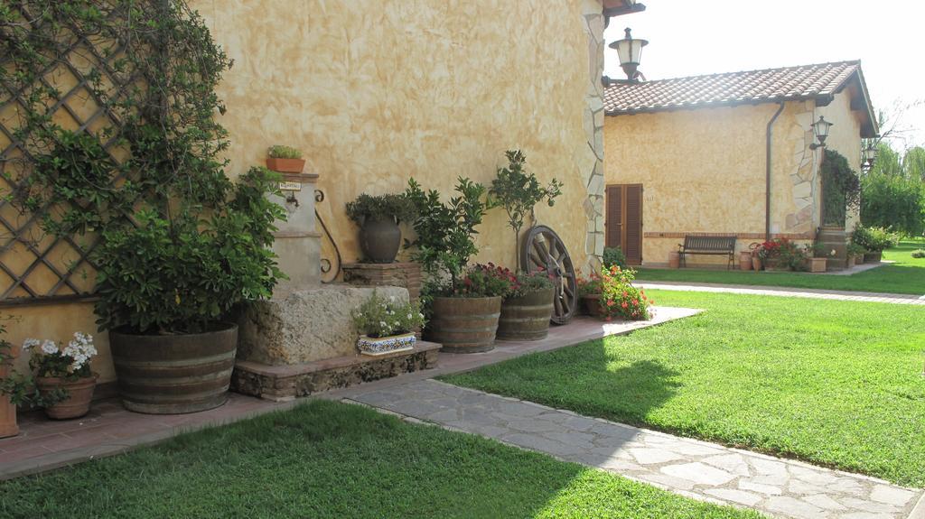 Podere Turicchio 奥尔贝泰洛 外观 照片