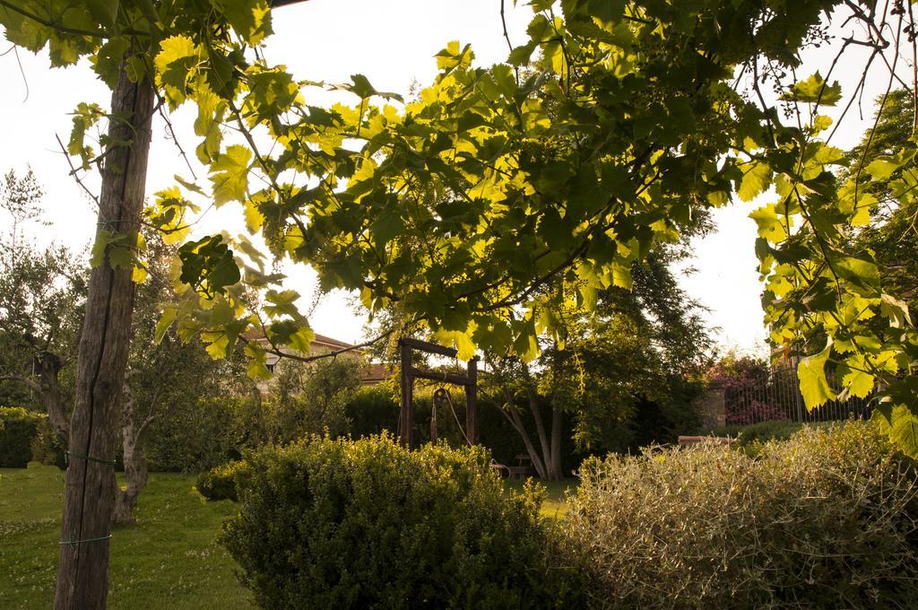 Podere Turicchio 奥尔贝泰洛 外观 照片