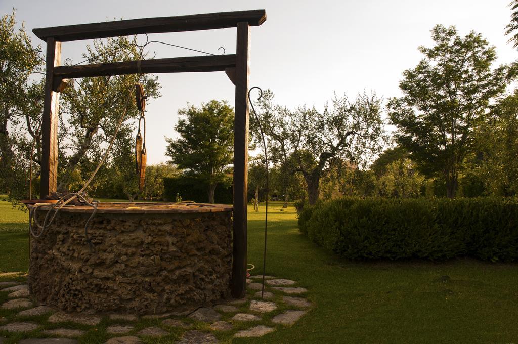 Podere Turicchio 奥尔贝泰洛 外观 照片